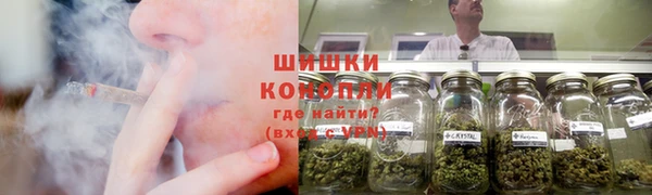гидра Нефтекумск