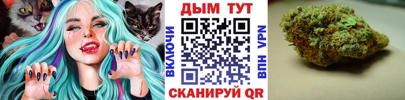 где купить наркоту  Миасс  Бошки Шишки план 
